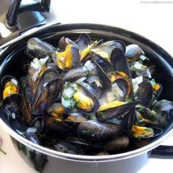 moules